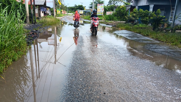  Jalan Lintas Raya Ranau di Desa Sukajaya Terendam Air Tanpa Talud, Pengguna Jalan Keluhkan Kendala