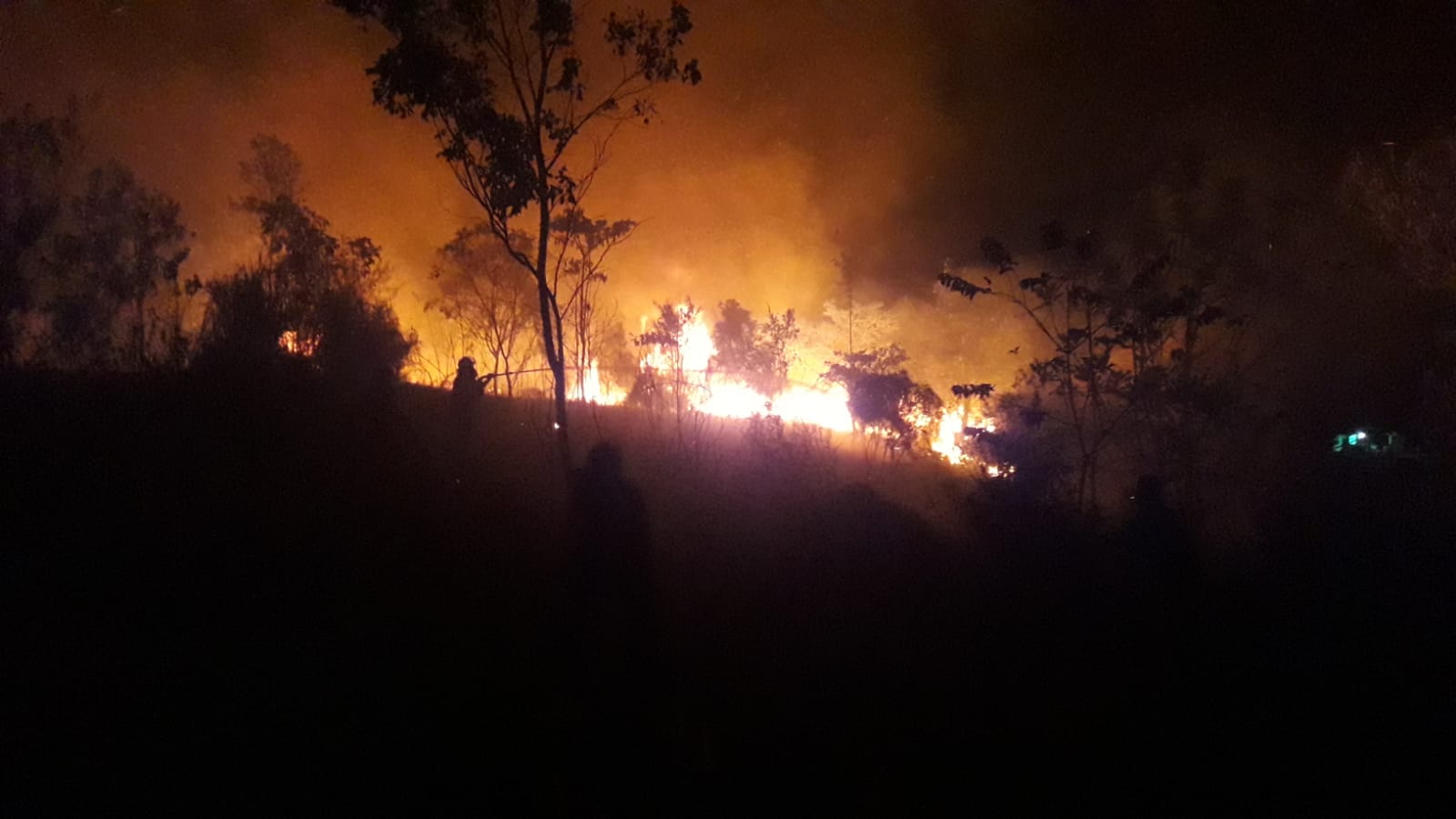 Kebakaran Lahan Semak Belukar Di Dekat Gerbang Pemkab OKU Selatan Dipadamkan