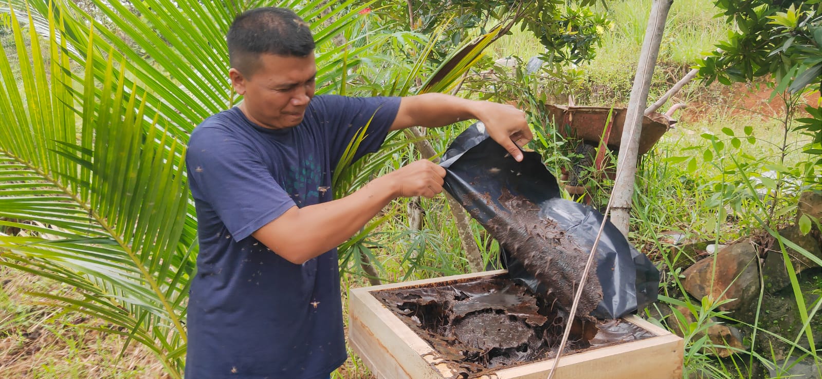 Cerita Budidaya Madu Trigona Oleh Agung Hadi Saputro, Seorang Penyuluh Kehutanan