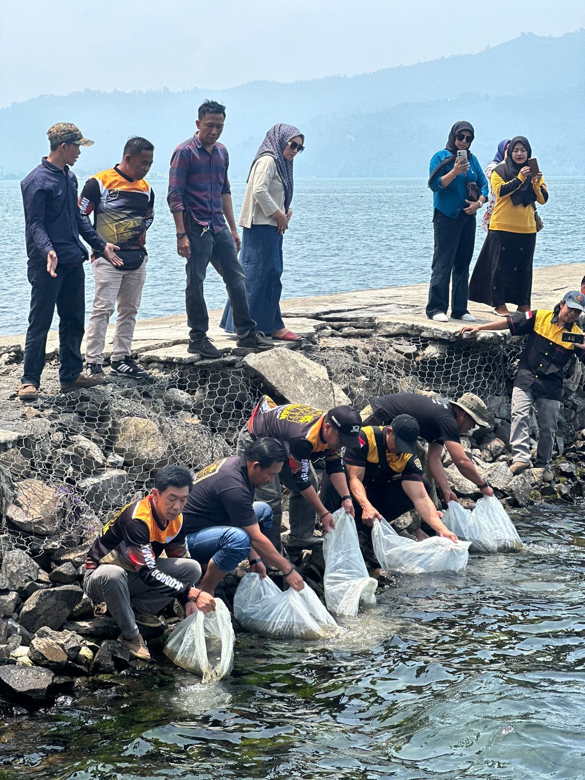 Kompas Ranau Tabur 10 Ribu Benih Ikan di Danau Ranau