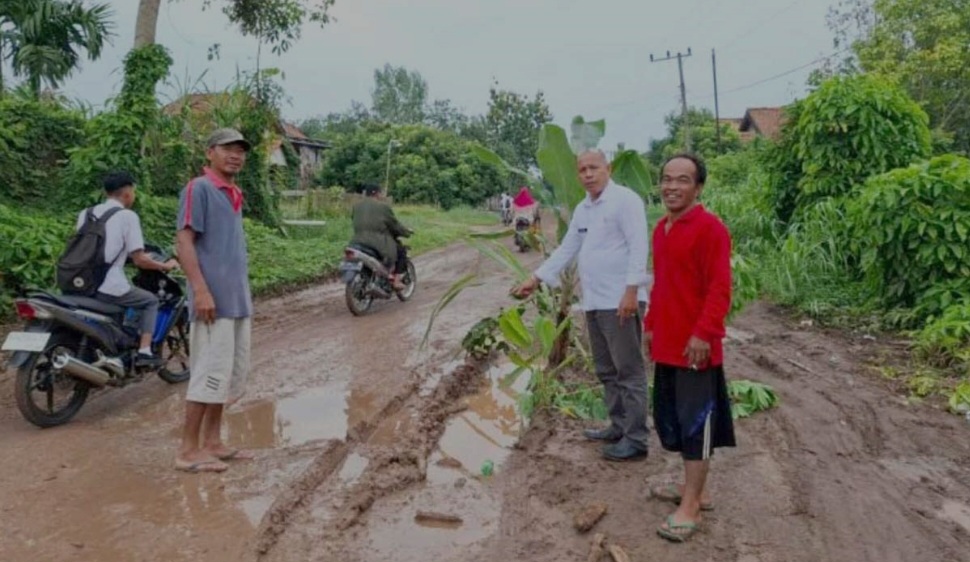 Protes Jalan Rusak, Warga Kecamatan Payaraman dan Lubuk Keliat Tanam Pohon di Tengah Jalan