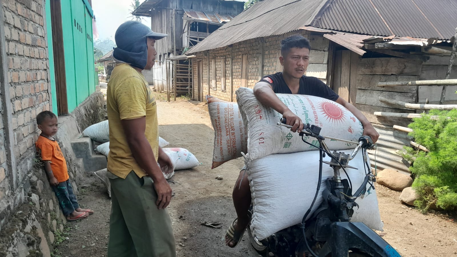 Harga Kopi di OKU Selatan Meroket Meskipun Belum Memasuki Musim Panen