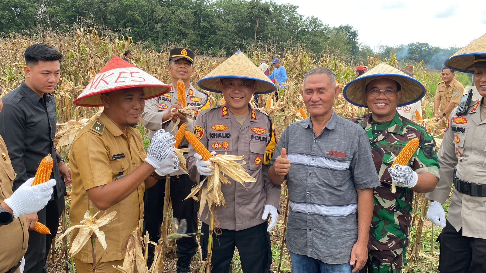 Kapolres OKU Selatan Gelar Panen Jagung Bersama Warga Karang Agung