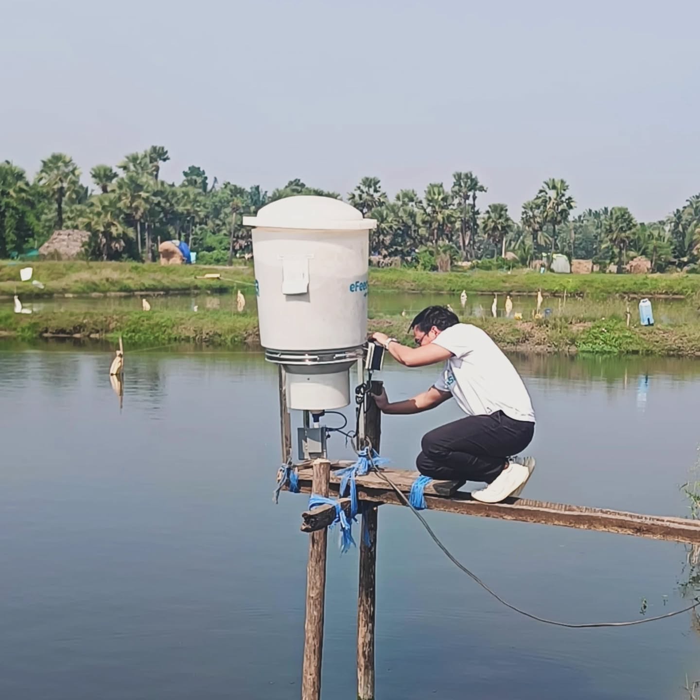 Gibran Huzaifah Dicopot dari eFishery, Diduga Palsukan Laporan Keuangan