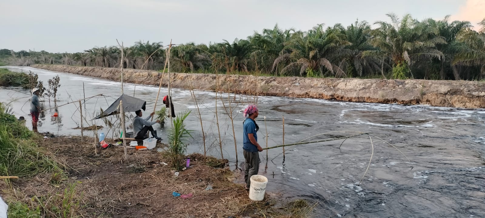 Tradisi Nangkul Ikan di Sungai Hitam Sepucuk, Kayuagung, Menjadi Sumber Cuan Bagi Warga