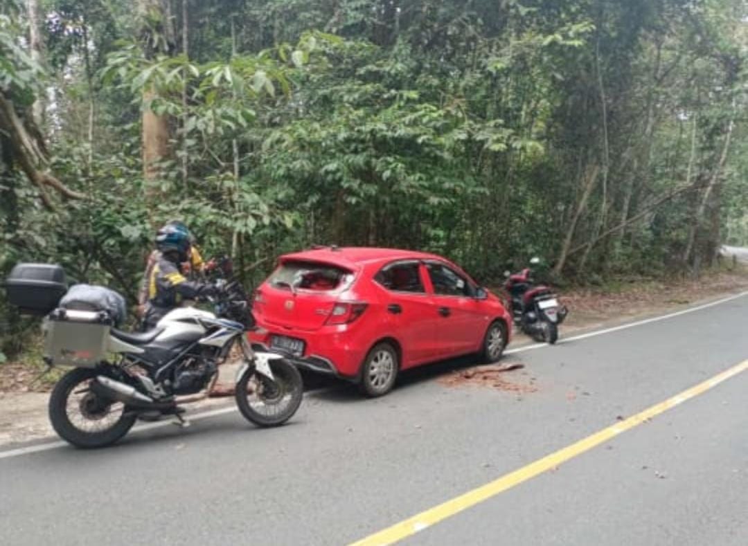 Pelaku Perampokan BRI Link Ngambur Lari ke Pegunungan Hutan