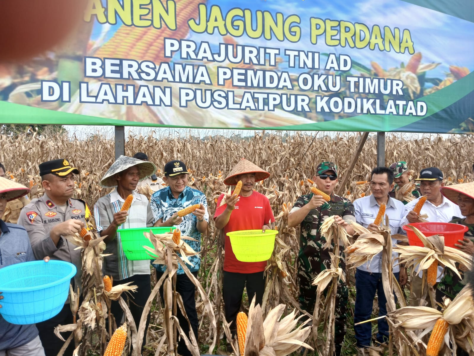 Panen Jagung Perdana TNI AD Bersama Pemda OKU Timur Dorong Kemandirian Pangan Nasional