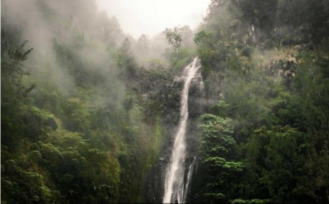 Air Terjun Tertinggi di Jawa Timur, Destinasi Wisata Alam untuk Pecinta Trekking