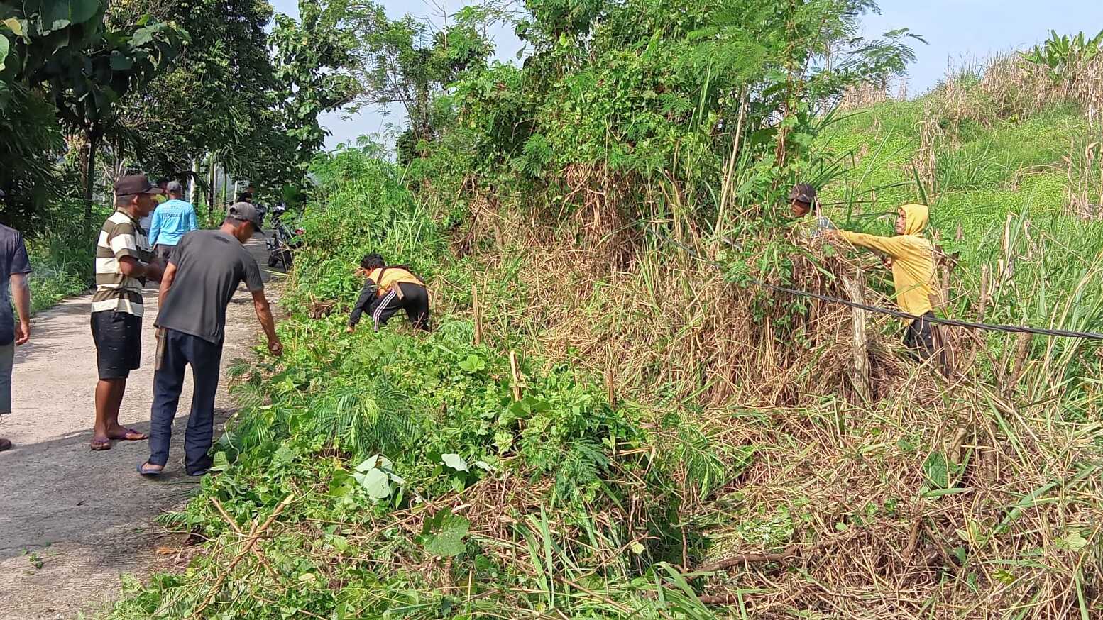 Sangat Berbahaya, Kabel Arus Tinggi PLN di Desa Karet Jaya Menjalar Sampai Menyentuh Tanah
