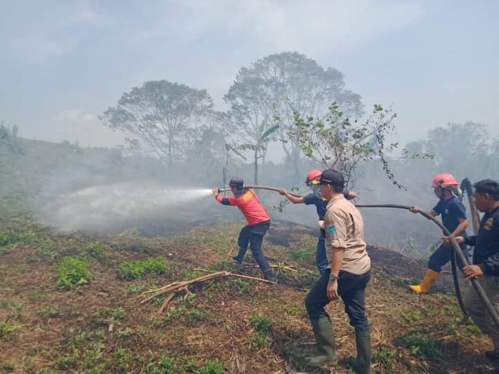 Cuaca Panas Meningkatkan Ancaman Kebakaran di OKU Selatan, Warga Diminta Waspada