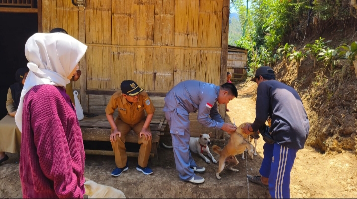 Program Vaksinasi Anjing Melawan Rabies di OKU Selatan, 240 Ekor Sudah Divaksinasi