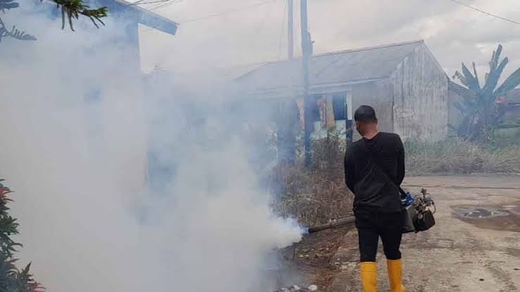 Kasus DBD Meningkat, Dinkes Sumsel Intensifkan Fogging dan Edukasi Warga