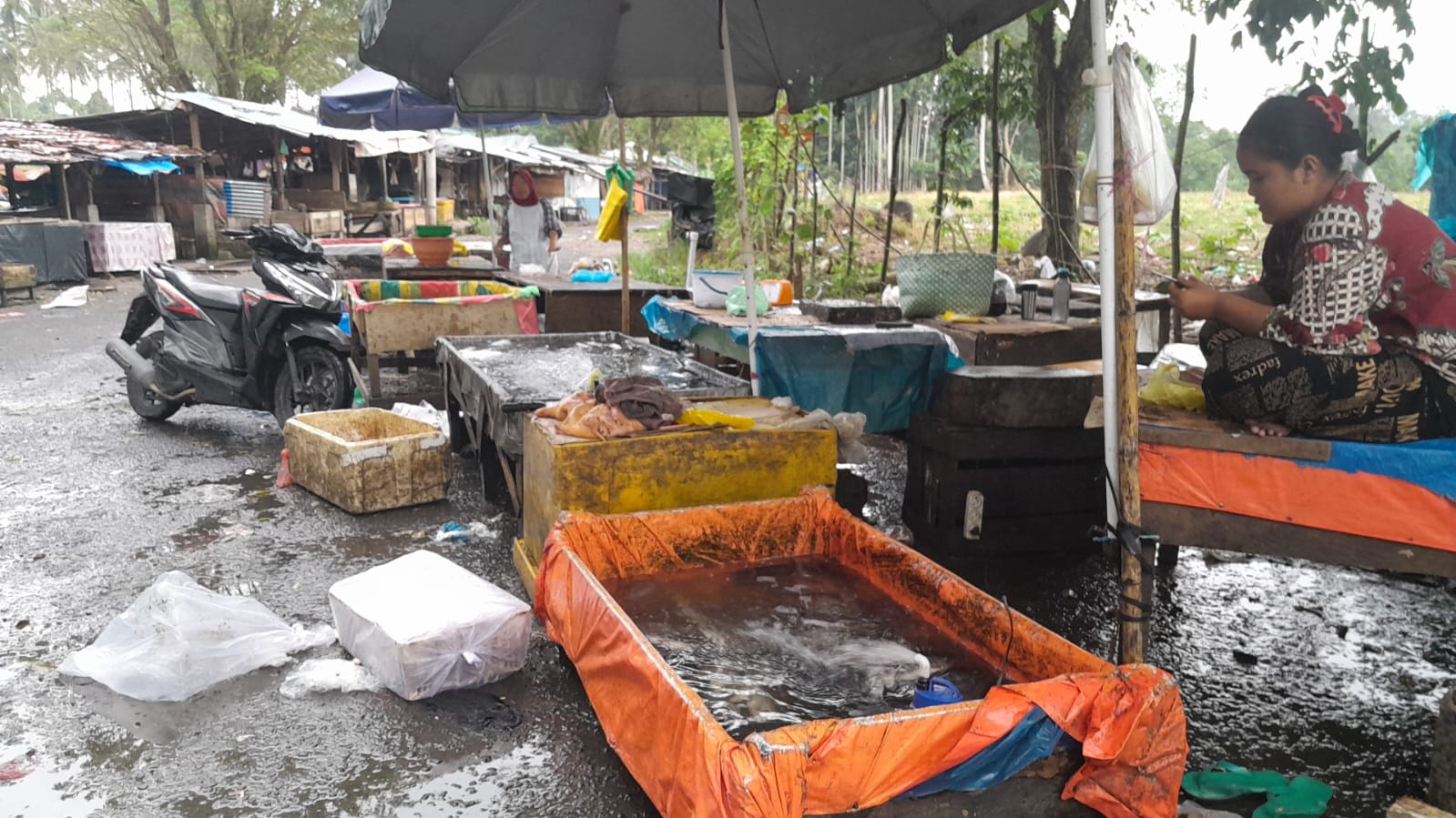 Dampak Ribuan Ikan Mati, Kini Ikan Mujair Langka di Pasaran