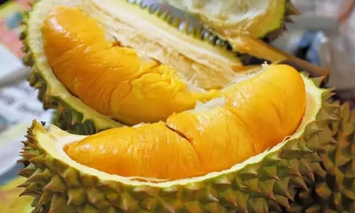Durian Musang King, Kisah Kelezatan Durian Malaysia yang Mendunia