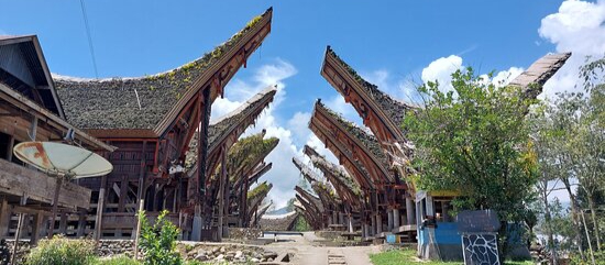 Pesona Keunikan Tana Toraja, Ritual, Kuburan, dan Alam yang Memesona! 