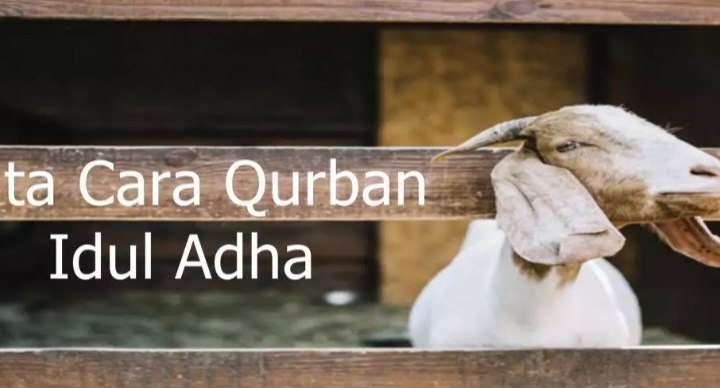 Qurban Idul Adha, Merupakan Hari Raya Muslim Seluruh Dunia