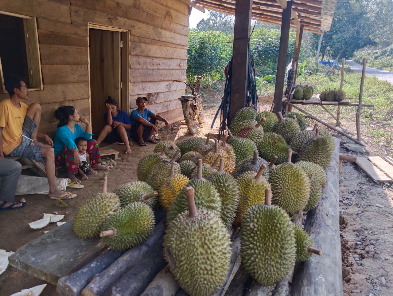 Tips Jitu Memilih Durian untuk Para Penggemar Buah Khas Nusantara