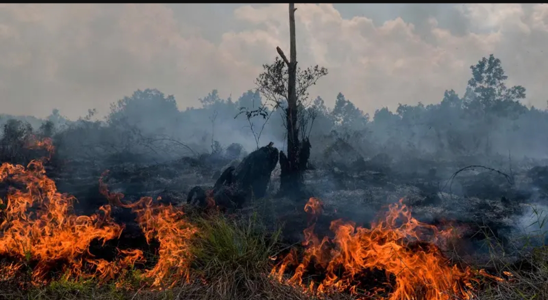 Waspada Karhutla, Sumsel Mulai Terdeteksi Titik Panas Jelang Musim Kemarau