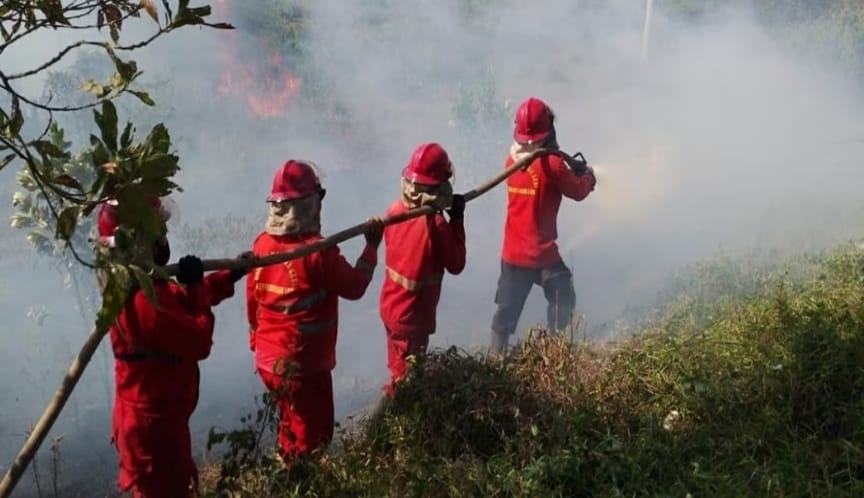 Halo Polisi, Kebakaran Hutan Terjadi di Ruas Tol Kayuagung-Palembang