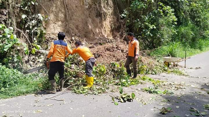 BPBD OKU Selatan Tanggap Cepat Atasi Tanah Longsor Jalan Porpros Danau Ranau