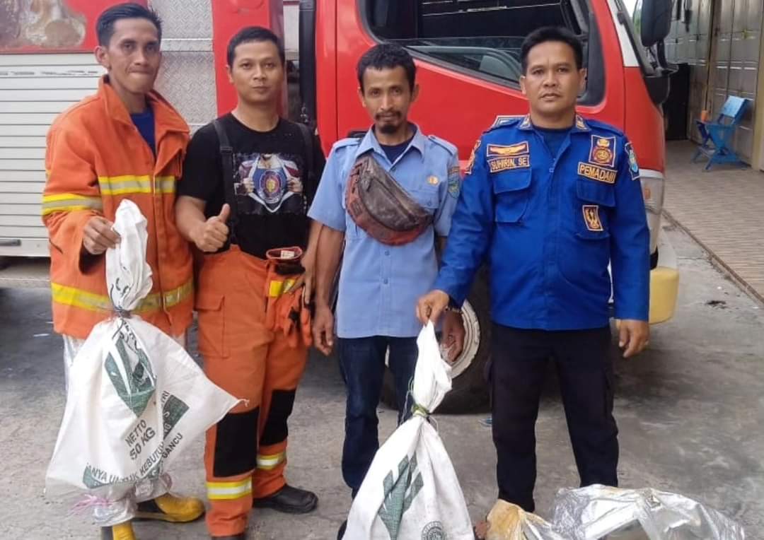 Damkarmat Kabupaten OKU Selatan Evakuasi Tawon Vespa di Desa Pelangki