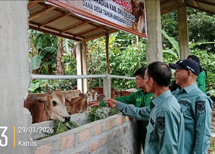 Pemerintah Kecamatan Muaradua Monev Program Ketahanan Pangan Desa Batu Belang II
