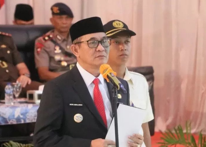 PALI Targetkan Seluruh Wilayah Dapat Akses Internet