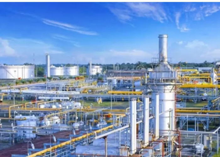 Pemerintah Perkuat Ketahanan Energi Nasional, Dorong Transisi ke Energi Terbarukan