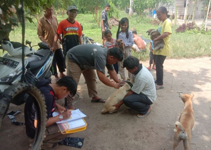 Tak Kenal Libur, Dinas Peternakan Tetap Lakukan Vaksin Rabies