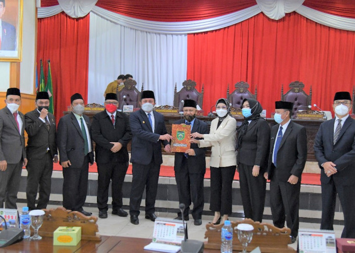 Inilah 6 Calon Kabupaten Baru di Sumatera Selatan, Mana Saja?