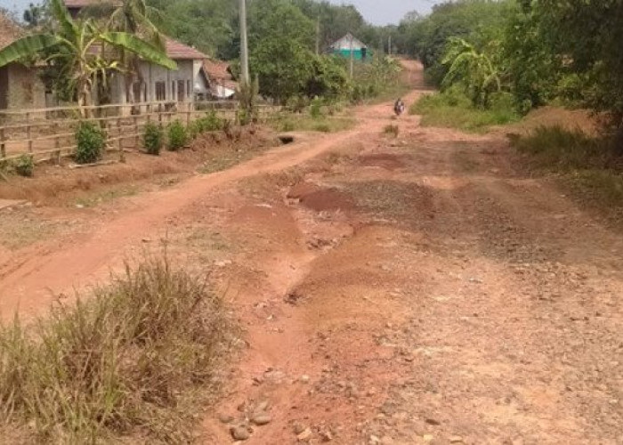 Warga Desa Banding Agung OKU Timur Keluhkan Kondisi Parah Jalan Kabupaten