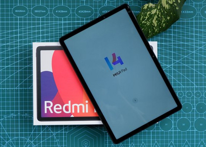 Cocok Untuk Hiburan Keluarga, Xiaomi Meluncurkan Tablet Terbaru Redmi Pad SE dengan Harga Terjangkau
