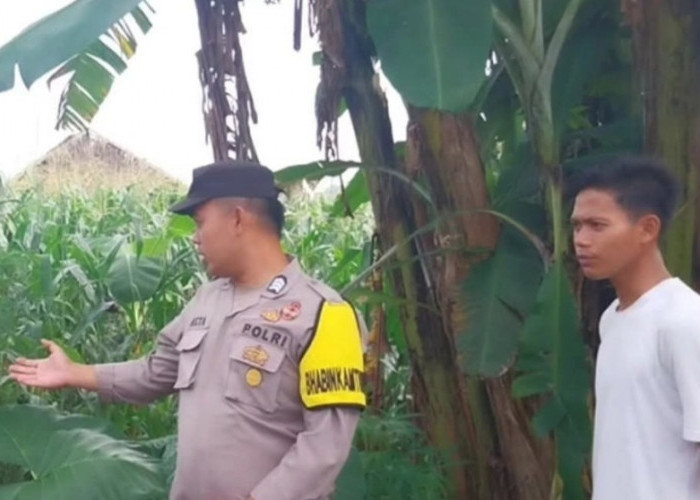 Bhabinkamtibmas Buay Runjung Ajak Warga Manfaatkan Lahan Kosong untuk Ketahanan Pangan