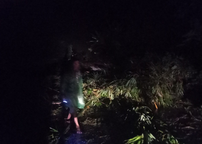 Breaking News : Longsor Terjang Desa Tanjung Kari, Aktivitas Lalulintas Lumpuh