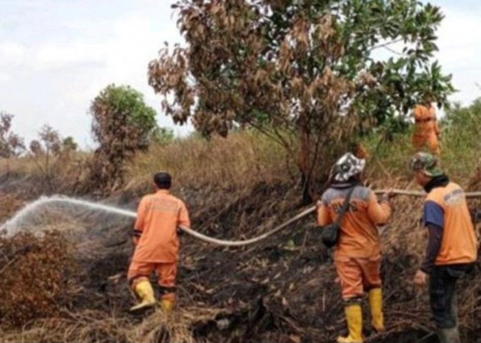 Karhutla Sumsel 2025 Capai 5.939,8 Hektare, OKI Jadi Daerah Terluas Terbakar
