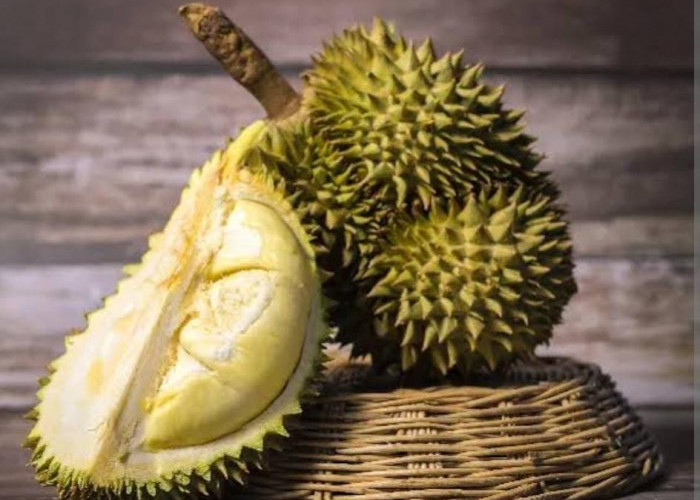 Cara Mengatasi Pusing dan Mual Akibat Konsumsi Durian Berlebihan