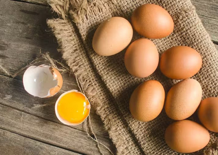 Hati-hati Saat Memilih Telur! Ini Dia 4 Petunjuk Mudah untuk Membedakan Telur Segar dan Telur Busuk yang Perlu