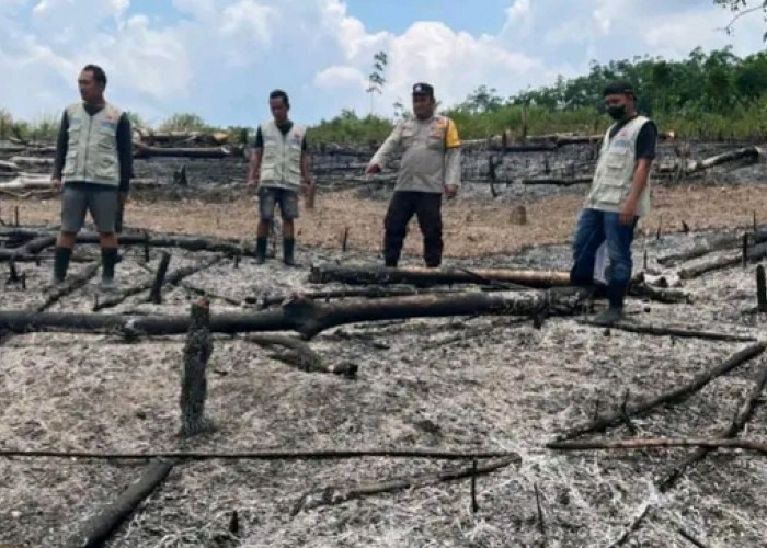 Pemkab OKU Selatan Temukan Kebakaran Lahan Seluas 1/4 Hektar