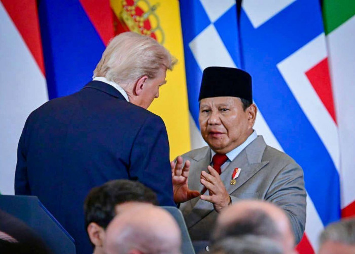 Indonesia Gabung 'Board of Peace', DPR: Mandat Moral-Historis