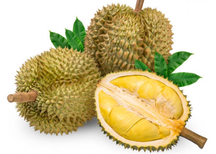Buah Durian, Raja Nutrisi bagi Kesehatan Anda!
