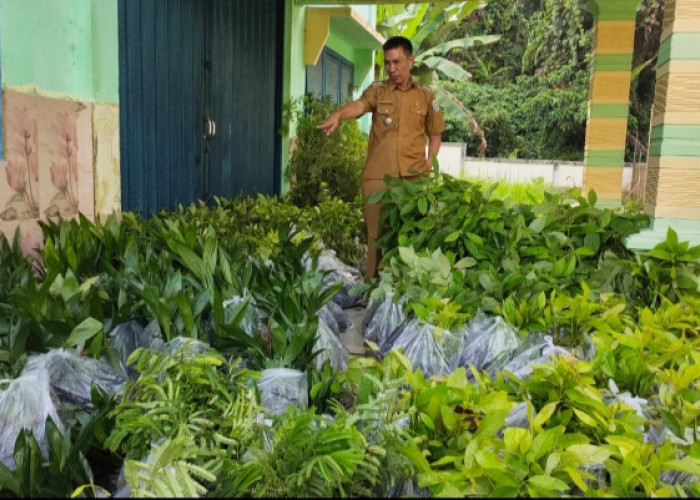 Kecamatan Tiga Dihaji Menerima Bantuan 20 Ribu Bibit Pohon