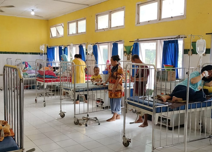 Wah Gawat, Kasus Demam Berdarah Dengue (DBD) Meningkat di RSUD Kayuagung 