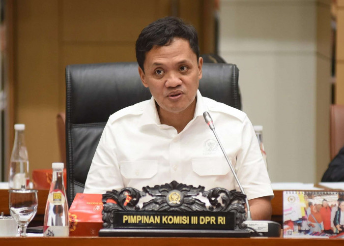 APH Langgar KUHP-KUHAP, DPR Tegaskan Bisa Disanksi Pidana