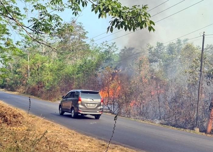 Lahan Kosong di Sekitar Jalan Lintas Martapura-Belitang Terbakar