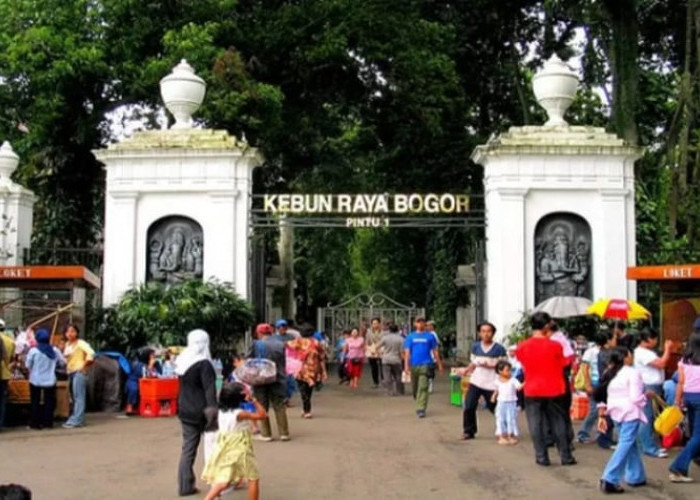 Surga Wisata Alam di Kebun Raya Bogor, Tarif Masuk Terjangkau