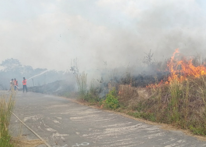 Bahaya, Kobaran Api Hampir Merayap ke Kantor Bupati OKU Selatan