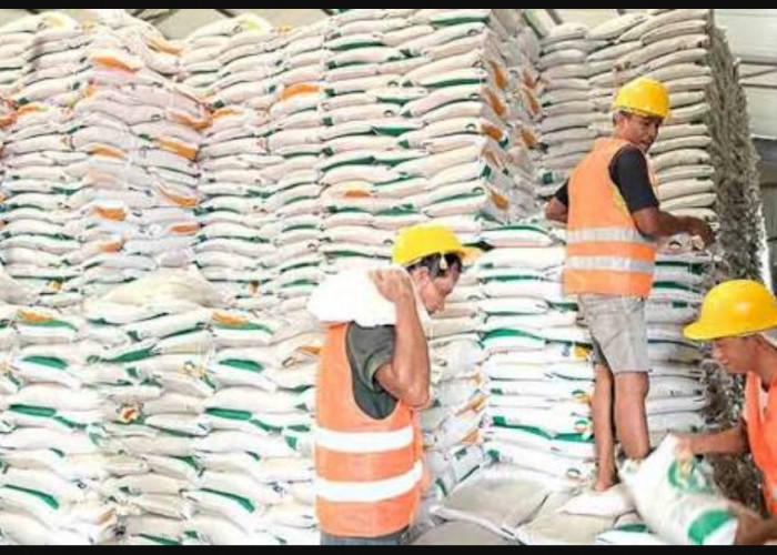 Stok Beras Nasional Dipastikan Aman Jelang Ramadan dan Idulfitri