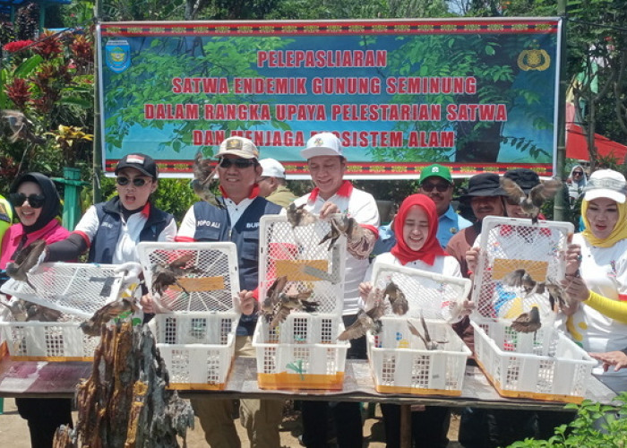 Lepasan 50 Burung Kitiran di Gunung Seminung Di Peringatan Hari Sumpah Pemuda