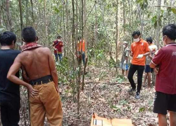 Warga Sebadak PALI Ditemukan Membusuk di Kebun Karet