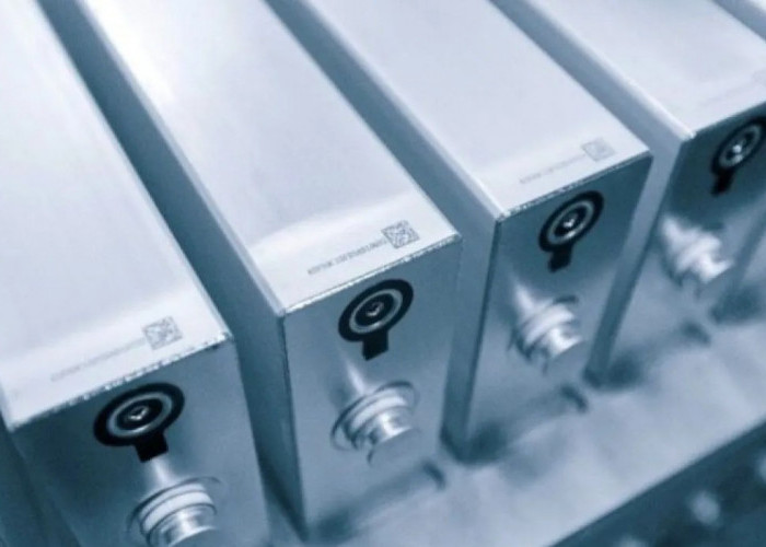 BYD investasi Rp2,1 triliun untuk pabrik baterai baru di Vietnam